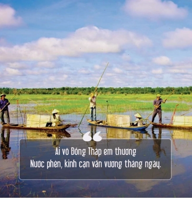 Vẻ đẹp cánh đồng sen Đồng Tháp trong thơ ca