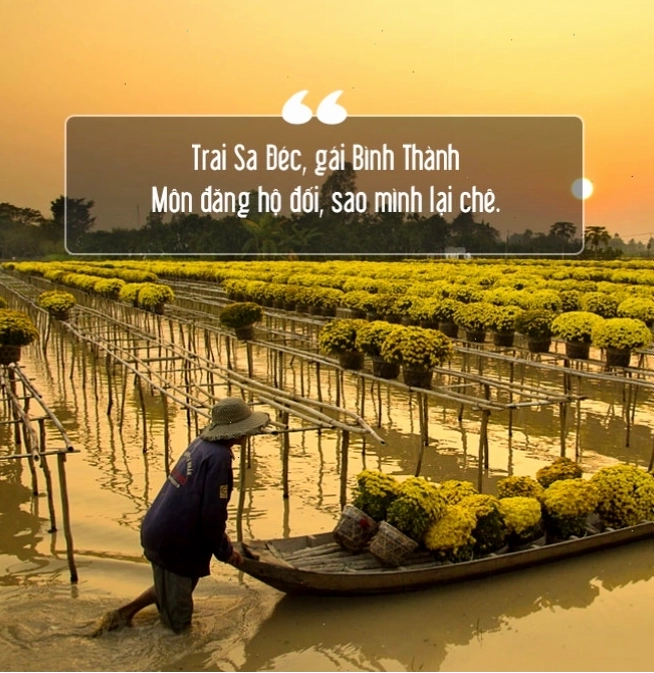 Vẻ đẹp của những cánh đồng Đồng Tháp