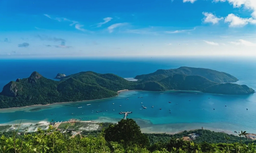 Vườn quốc gia Tràm Chim Đồng Tháp với hệ sinh thái đa dạng