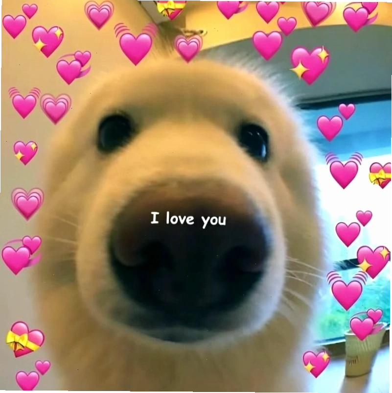 Ý nghĩa của meme tình yêu trong giao tiếp hiện đại
