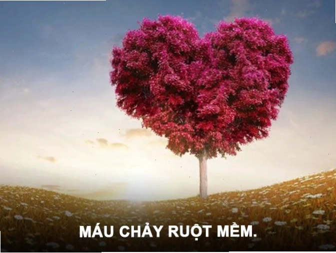 Ý nghĩa sâu sắc của ca dao tục ngữ về tình yêu thương
