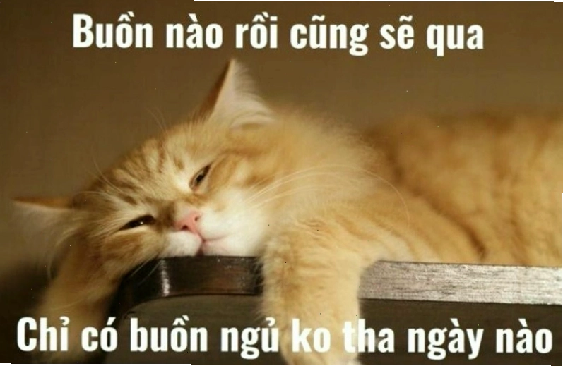 Ý nghĩa sâu sắc đằng sau meme chúc ngủ ngon, thể hiện sự quan tâm và yêu thương