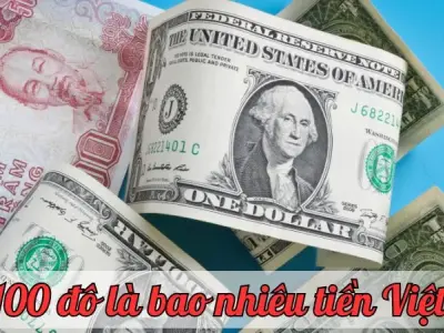 100 đô là bao nhiêu tiền Việt? Cập nhật tỷ giá mới nhất hôm nay