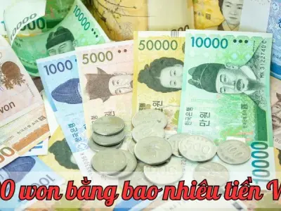 1000 won bằng bao nhiêu tiền Việt? Tỷ giá cập nhật mới nhất