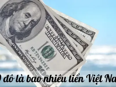 300 đô là bao nhiêu tiền Việt Nam? Cập nhật tỷ giá mới nhất hiện nay