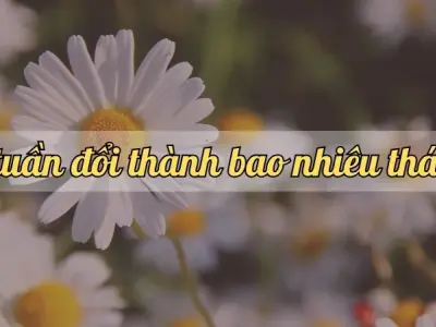 39 tuần đổi thành bao nhiêu tháng? Cách tính thời gian chính xác nhất