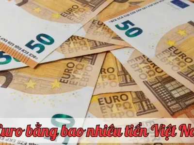 50 Euro bằng bao nhiêu tiền việt nam? Cập nhật tỷ giá mới nhất