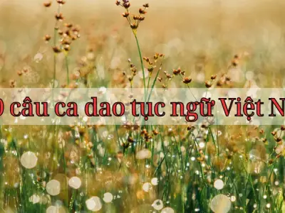 Khám phá 500 câu ca dao tục ngữ Việt Nam - Bộ sưu tập đầy đủ và ý nghĩa