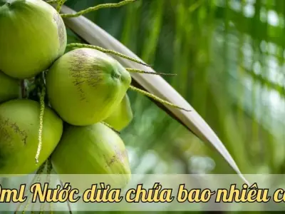 500ml Nước dừa chứa bao nhiêu calo? Tìm hiểu dinh dưỡng của nước dừa