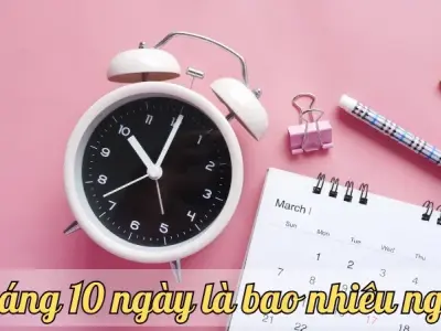 9 tháng 10 ngày là bao nhiêu ngày? Cách tính ngày chính xác nhất