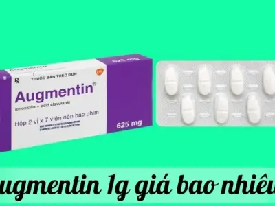 Augmentin 1g giá bao nhiêu? Cập nhật mới nhất năm nay