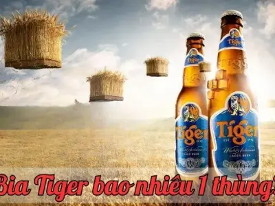 Bia Tiger bao nhiêu 1 thùng? Giá mới nhất và những thông tin cần biết