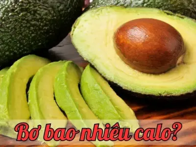Bơ bao nhiêu calo? Tìm hiểu giá trị dinh dưỡng của trái bơ