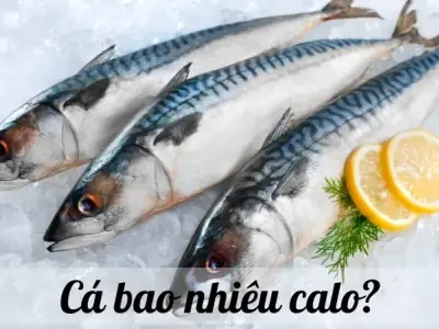Cá bao nhiêu calo? Hướng dẫn tính toán calo trong các loại cá