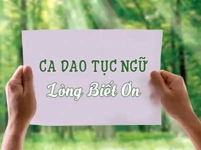 50 câu ca dao tục ngữ về lòng biết ơn hay và ý nghĩa nhất