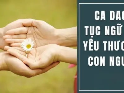 Khám phá 50 câu ca dao tục ngữ về yêu thương con người hay nhất