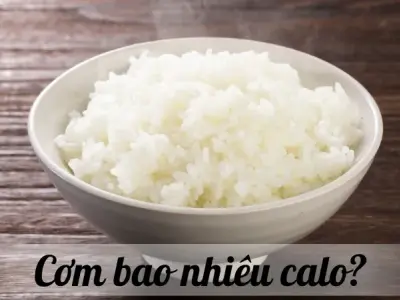 Cơm bao nhiêu calo? Phân tích chi tiết lượng calo trong cơm