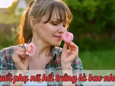 Độ tuổi phụ nữ hết trứng là bao nhiêu? Dấu hiệu và cách chăm sóc