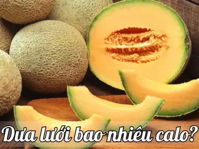 Dưa lưới bao nhiêu calo? Khám phá giá trị dinh dưỡng của dưa lưới