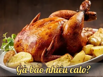 Gà bao nhiêu calo? Cách xác định lượng calo trong thịt gà