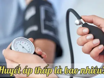 Huyết áp thấp là bao nhiêu? Dấu hiệu và cách phòng ngừa hiệu quả