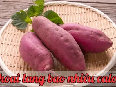 Khoai lang bao nhiêu calo? Bí quyết ăn khoai lang không lo tăng cân
