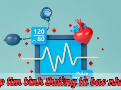Nhịp tim bình thường là bao nhiêu? Những điều quan trọng bạn cần biết 