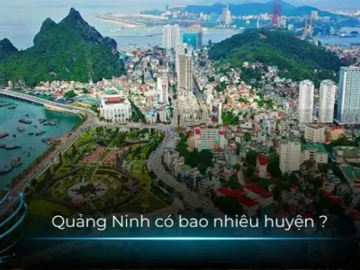 Quảng Ninh có bao nhiêu huyện? Khám phá danh sách các huyện 