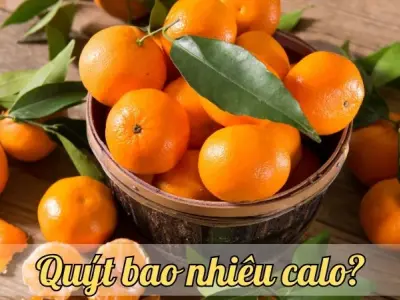 Quýt bao nhiêu calo? Tìm hiểu giá trị dinh dưỡng của quýt