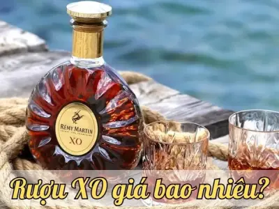 Rượu XO giá bao nhiêu? Tìm hiểu chi tiết giá cả các dòng rượu XO hiện nay