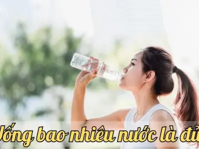 Uống bao nhiêu nước là đủ? Hướng dẫn chi tiết để duy trì sức khỏe tốt 