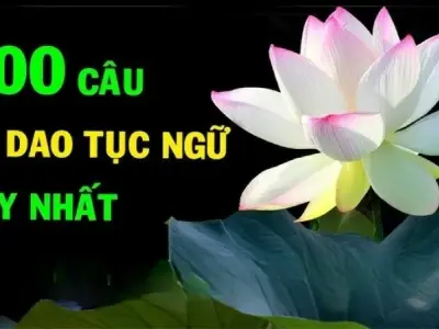 Tổng hợp 100 câu ca dao tục ngữ việt nam phản ánh đời sống dân gian