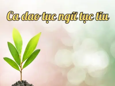 Khám phá những câu ca dao tục ngữ tục tĩu đặc sắc và ấn tượng 