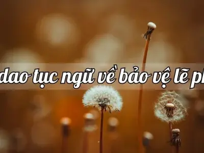 Top 70 câu ca dao tục ngữ về bảo vệ lẽ phải mà bạn nên biết