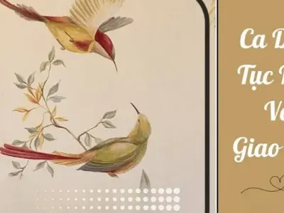 100 Câu ca dao tục ngữ về giao tiếp mà ai cũng nên biết