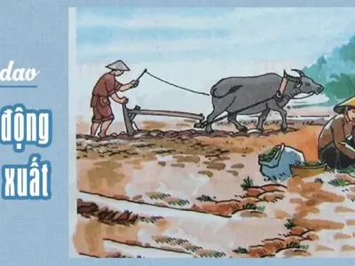 Khám phá những câu ca dao tục ngữ về lao động sản xuất hay nhất