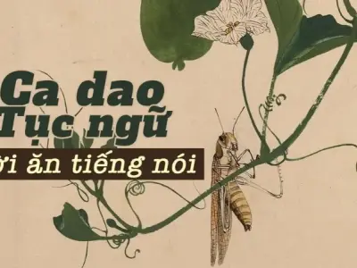 Tổng hợp 100+ câu ca dao, tục ngữ về lời ăn tiếng nói hay nhất 