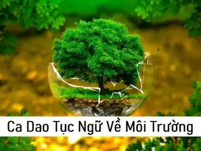 Ca dao tục ngữ về môi trường và tài nguyên thiên nhiên