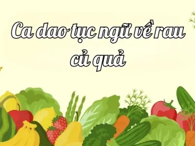 Tổng hợp 50 câu ca dao tục ngữ về rau củ quả hay và thú vị 