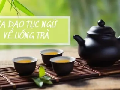 Top những câu ca dao tục ngữ về uống trà hay và độc đáo nhất