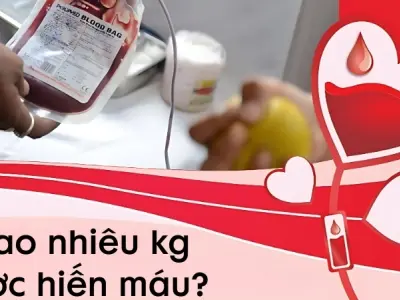 Bao nhiêu kg được hiến máu? Tiêu chuẩn cân nặng chuẩn nhất