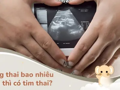 Bao nhiêu tuần có tim thai? Giải đáp chi tiết cho mẹ bầu