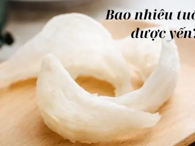 Bao nhiêu tuổi ăn được yến để đảm bảo an toàn cho sức khỏe