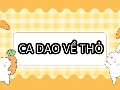 Khám phá những câu ca dao về con thỏ trong dân gian