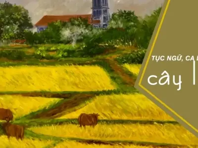 Khám phá những câu ca dao về lúa giàu ý nghĩa dân gian
