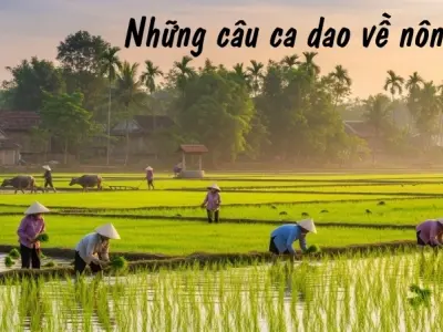 Những câu ca dao về nông dân phản ánh đời sống quê