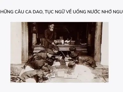 Tổng hợp ca dao về uống nước nhớ nguồn đầy ý nghĩa