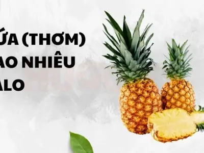Dứa bao nhiêu calo và lợi ích cho sức khỏe bạn nên biết