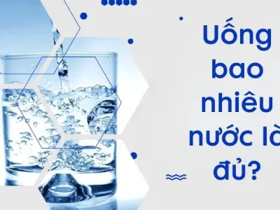 Uống bao nhiêu nước là đủ để giữ cơ thể luôn khỏe mạnh
