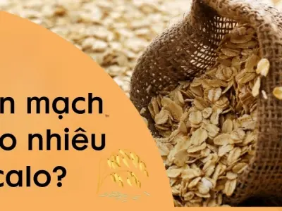 Yến mạch bao nhiêu calo? Lợi ích sức khỏe đã được chứng minh